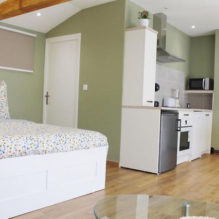 Saint Etienne : Appartement Chateaucreux 40 M2 Kültér fotó