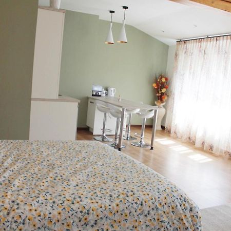 Saint Etienne : Appartement Chateaucreux 40 M2 Kültér fotó