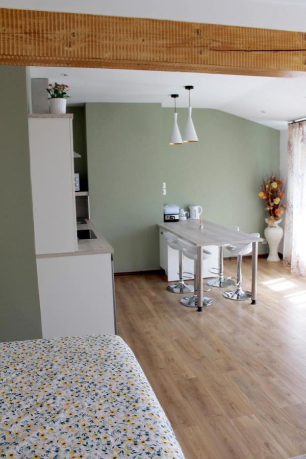 Saint Etienne : Appartement Chateaucreux 40 M2 Kültér fotó