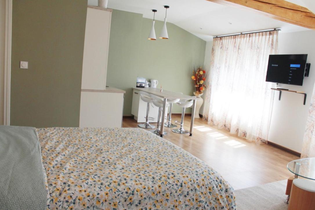 Saint Etienne : Appartement Chateaucreux 40 M2 Kültér fotó
