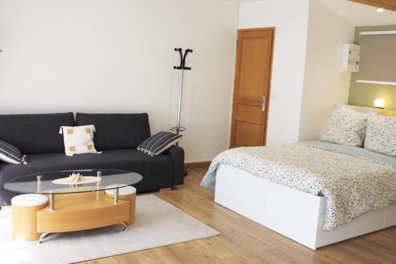 Saint Etienne : Appartement Chateaucreux 40 M2 Kültér fotó
