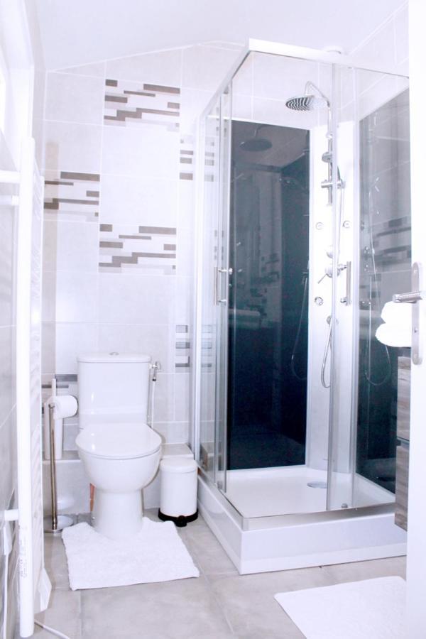 Saint Etienne : Appartement Chateaucreux 40 M2 Kültér fotó